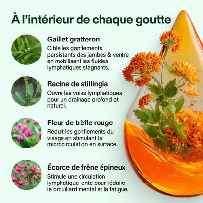 DRAINANT LYMPHATIQUE MASCULIN